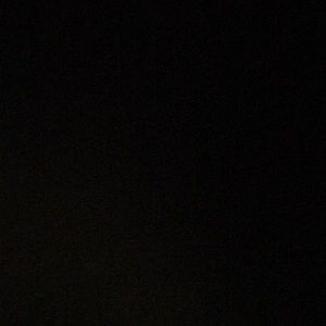 Meet your Posher, Tamara